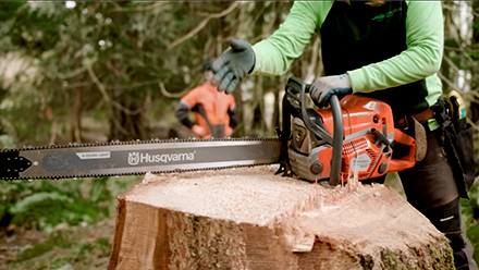 Timberbiz » Husqvarna’s new 592 XP chainsaw to land in Australia next year